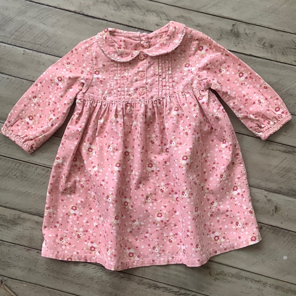 Gymboree Velvet Floral Dress - Picture 1 of 8